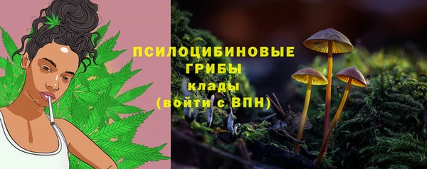 мескалин Арсеньев