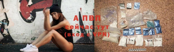 a pvp Аркадак
