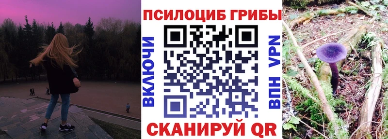Псилоцибиновые грибы мицелий Сочи